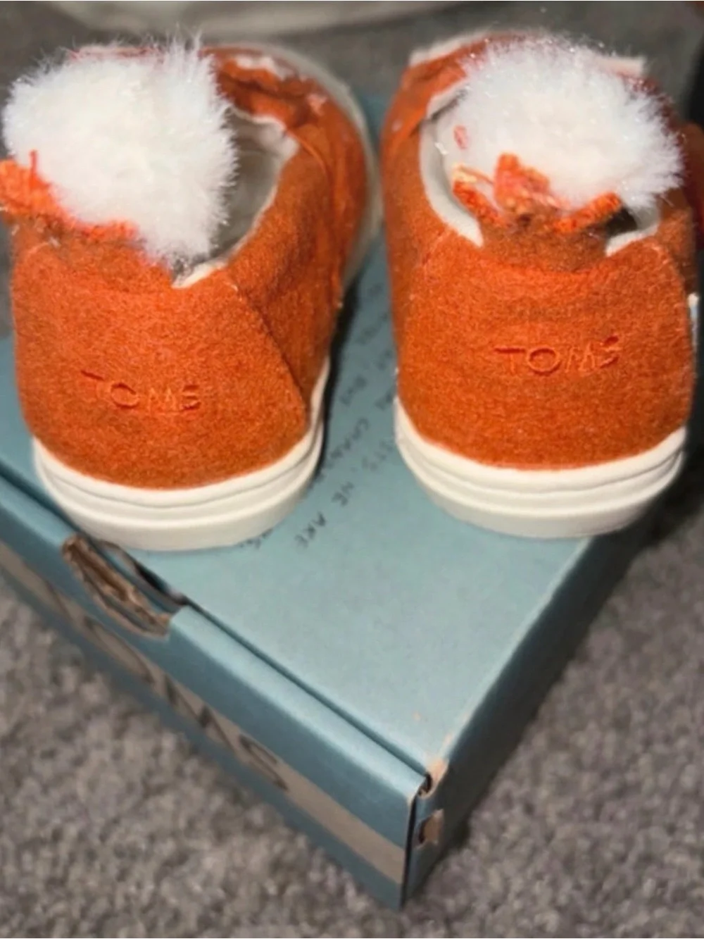 Toms adorable fox
